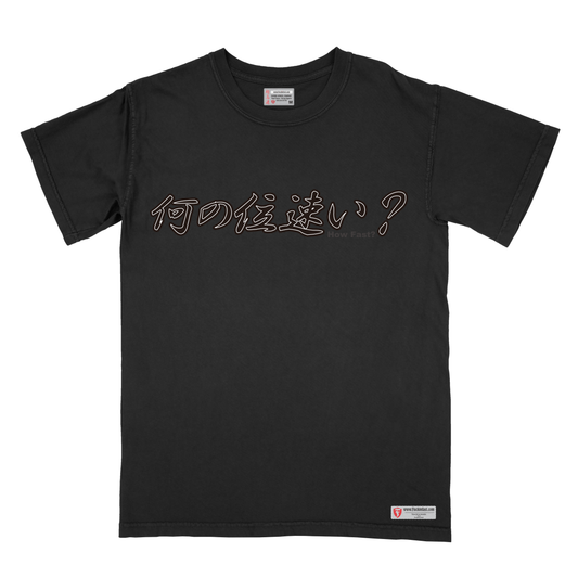 何の位速い Kanji How Fast