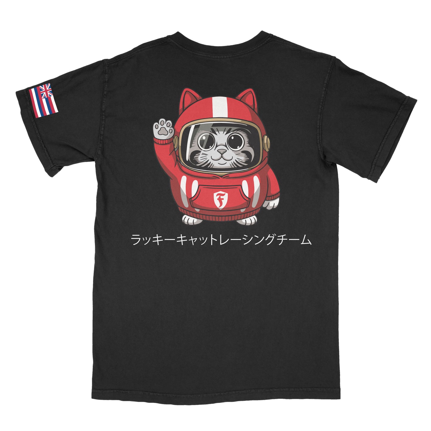 ラッキーキャットレーシングチーム lucky cat racing team