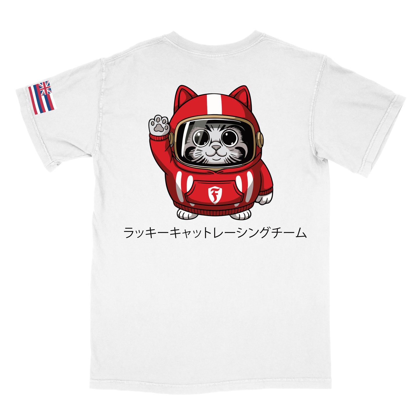 ラッキーキャットレーシングチーム lucky cat racing team